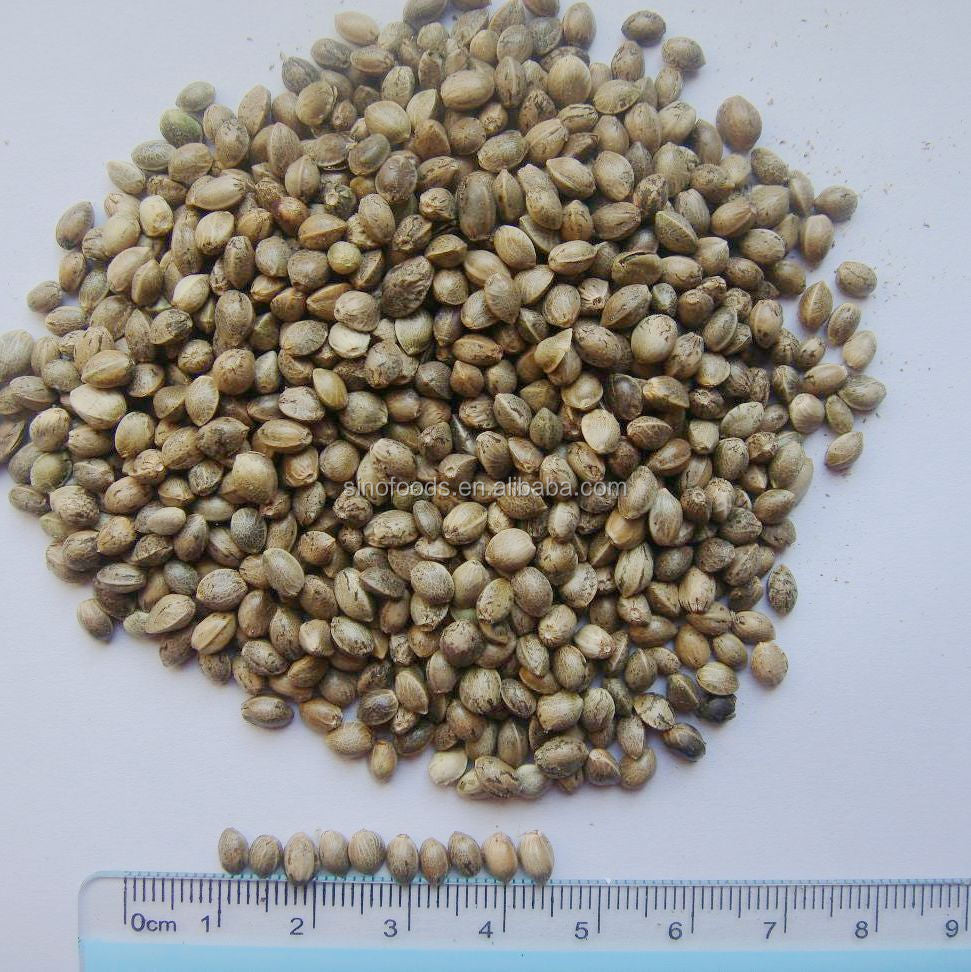 Hennep Vogelsnack Zaden