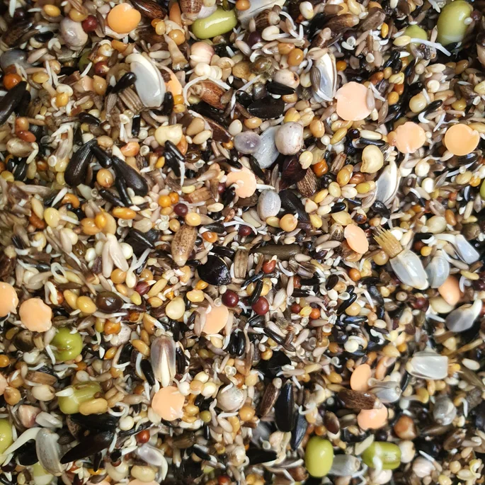 Kiemzaden Mix met Hennep